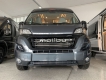 Malibu-Van-600-GT-Skyview-cambio-automatico-(1).JPG
