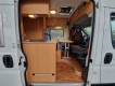 Roller-Team-Livingstone-Van-ingresso.jpg