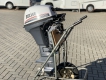 Selva-Pike-9,9-hp-.JPG